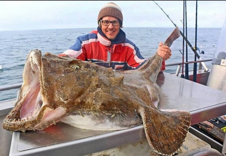 Il doit pouvoir se mimétiser dans les fonds marins lui...