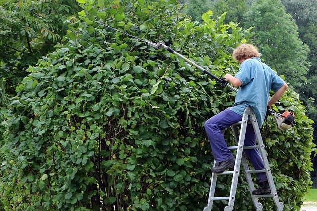 Secondo un importante giornale, fare il giardiniere (in Inghilterra) è una delle attività lavorative più appaganti. 
