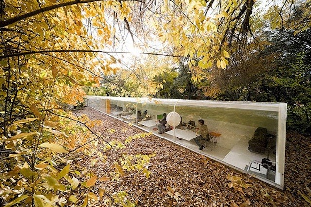 Gli architetti Jose Selgas e Lucia Cano hanno scelto come nuova location per lo studio, il bosco limitrofo alla città di Madrid.
