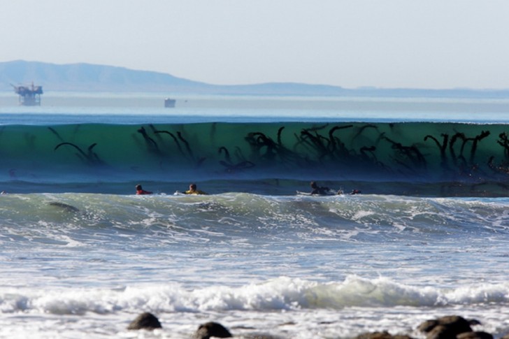 Al passare dell'onda le alghe sul fondale sembra dei mostri marini.