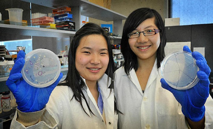 Dopo aver letto centinaia di articoli scientifici, Wang e Yao hanno scoperto un ceppo di batteri che ha la naturale predisposizione a distruggere i composti chimici di cui è fatta la plastica, gli ftalati.