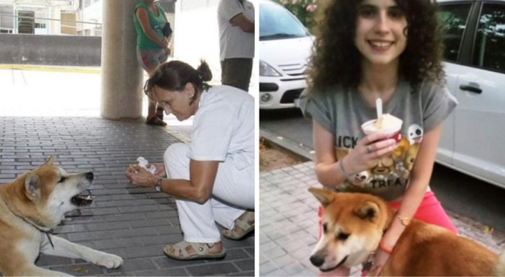 Questo cane ha atteso 6 giorni fuori dall'ospedale per il più dolce dei motivi