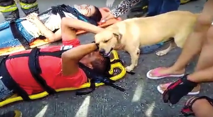 A touching scene of an accident victim comforted by his dog!