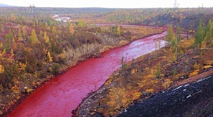 Il fiume siberiano si tinge di rosso: le autorità negano, ma la causa è nota a tutti