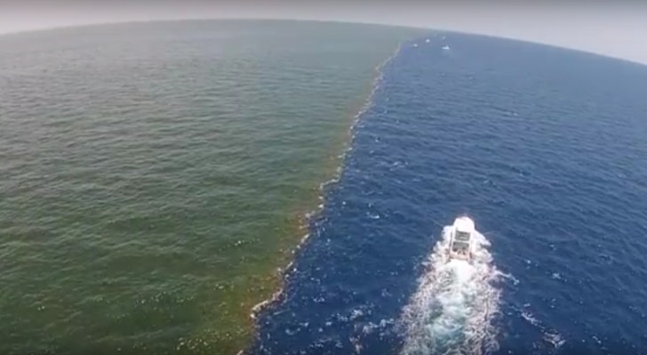 Spectacular! --- When a river flows into a gulf ...