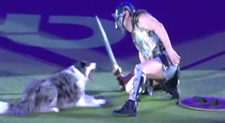 Die Fähigkeiten dieses Hundes und dessen Dompteur übertreffen jede Vorstellung: hier spielen sie ein Duell zwischen Gladiatoren