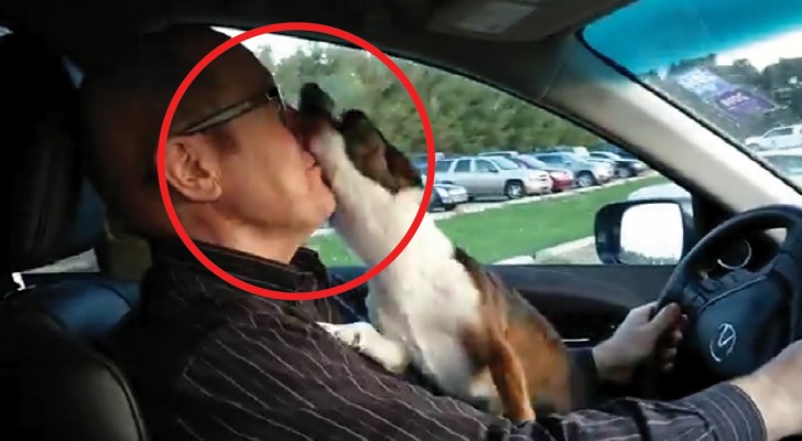 An owner takes his dog to a dog park -- see its reaction!