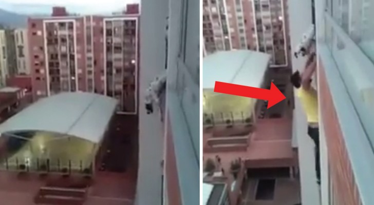  A dog is hanging from a high-rise balcony railing ...