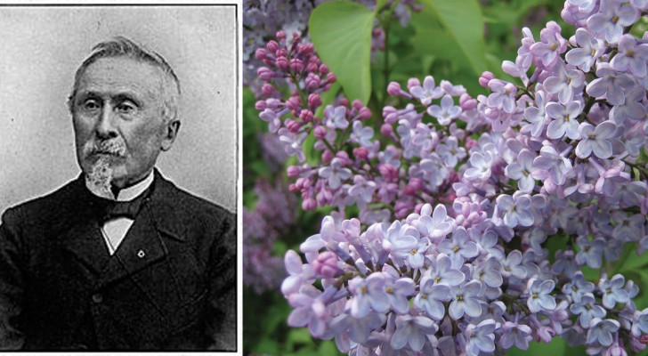 L'uomo che creò i lillà: il più grande esperto di botanica al mondo che quasi nessuno conosce