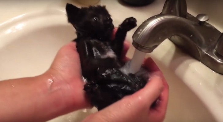 La patrona la "obliga" a hacer el baño: miren su reaccion...