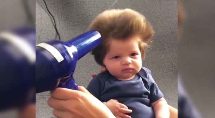 Le bébé avec la plus grosse touffe de cheveux: il a seulement 9 semaines, mais le sèche-cheveux est déjà indispensable!