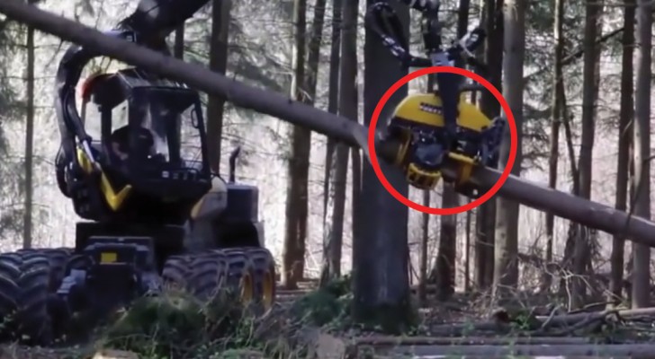 Das was diese Maschine kann, ist einfach unglaublich: achtet auf den Baumstamm!