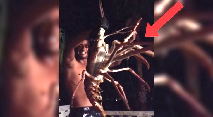 Au cours d'une nuit de pêche quelque chose mord à l'hameçon... Voilà un homard hors du commun!