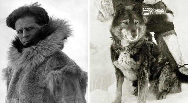 Vous vous rappelez du chien Balto qui a sauvé des centaines de vies en Alaska ? Voici comment cela s’est VRAIMENT passé.