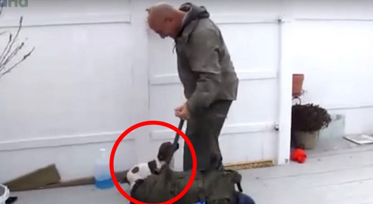 Een soldaat keert terug van de missie... het welkom van zijn hond is onbeschrijfelijk