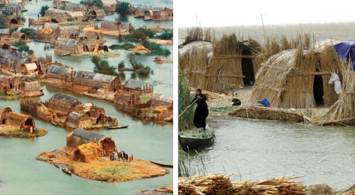 Gli "Arabi delle paludi": la secolare tradizione delle case galleggianti... che rischia di scomparire