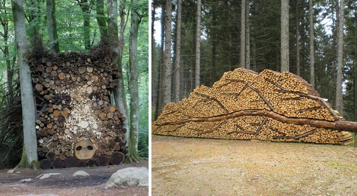 10 persone che hanno trasformato la propria legnaia in un'opera d'arte