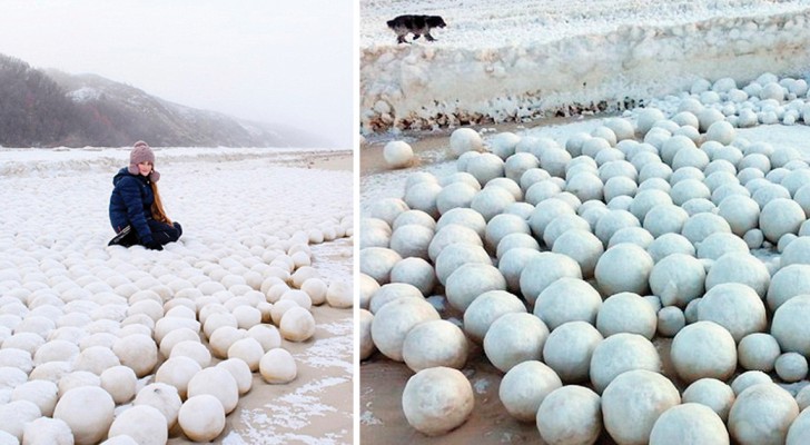 Des milliers de boules de neige ont envahi la Sibérie. Qu'est-ce qu'il se cache derrière ce phénomène bizarre?