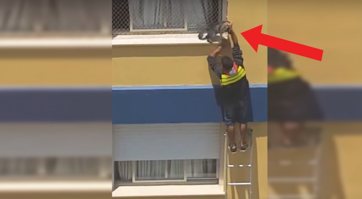 Heroic man risks falling to save a cat!