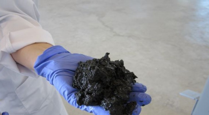 Trasformare i liquami in petrolio: un gruppo di ricercatori scopre come fare