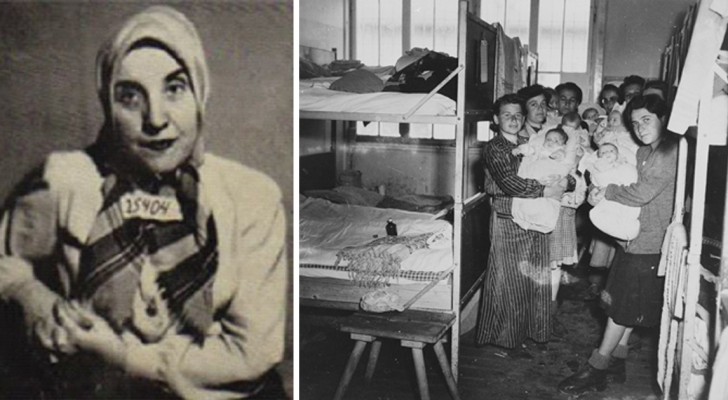 Interrompere una vita per salvarne un'altra: la straziante scelta della ginecologa ad Auschwitz