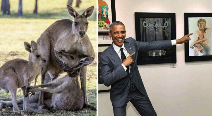 Fotomontaggi virali: ecco le più colossali bufale fotografiche circolate nel 2016