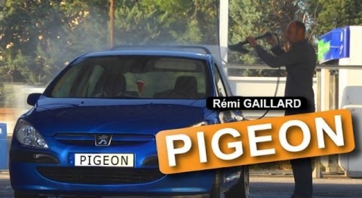Rémi Gaillard: The pigeon