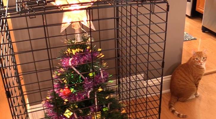 16 soluzioni che le persone hanno trovato per salvare l'albero di Natale dagli animali domestici