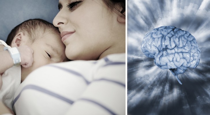 Zwangerschap Zorgt Voor Verandering In Vrouwelijke Hersenen Die Twee Jaar Duurt. Dit Gebeurt Er