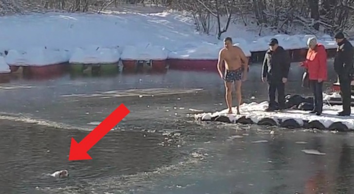Der Hund ertrinkt im eiskalten See: was dieser Mann getan hat, macht ihn zum Helden!