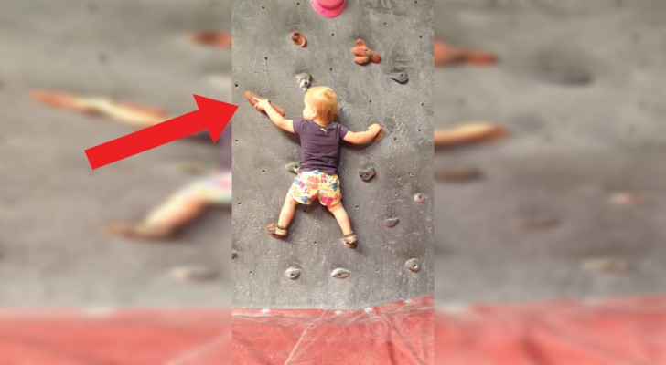 Scala una parete a 19 mesi di età: vi presentiamo la bambina prodigio dell'arrampicata