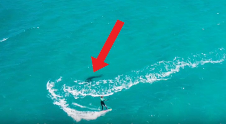 Filma con un drone a control remoto la novia que hace surf, luego nota una mancha oscura