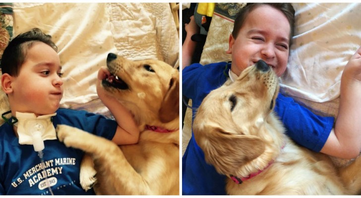 Een jongetje met quadriplegie en een hond hebben een ongelofelijke band met elkaar