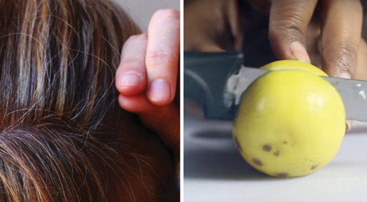 Lutte contre les cheveux blancs: deux ingrédients suffisent pour aider les cellules du cuir chevelu à bien travailler