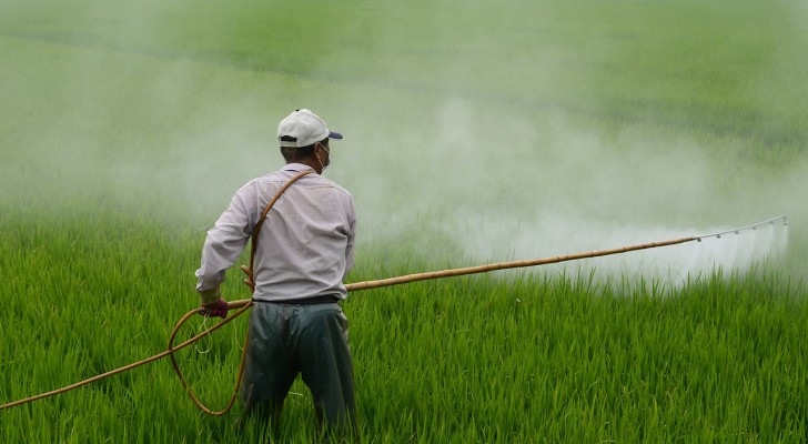 Pesticidi illegali ma comunque esportati: ecco il meccanismo che rende inutile qualsiasi legge