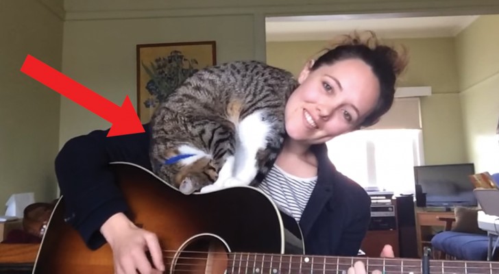 Dit meisje zingt haar nieuwe liedje, maar haar kat zorgt ervoor dat haar optreden niet geheel moeiteloos verloopt!