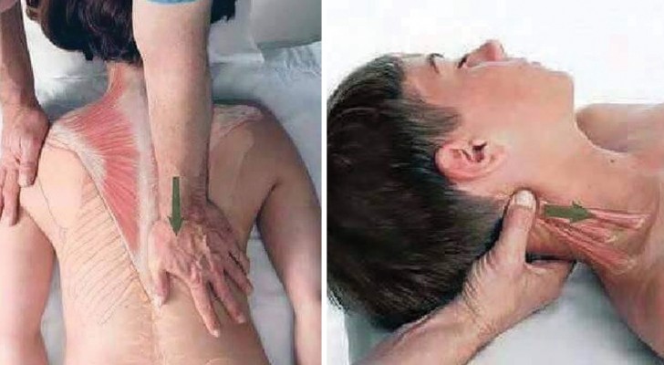 Massage relaxant : voici un guide simple pour apprendre les bases