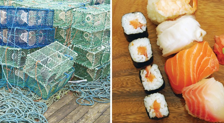 Tutti pazzi per il sushi: l'ossessione per questo cibo sta distruggendo (ulteriormente) gli oceani