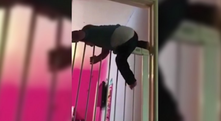 Watch as this small child climbs a two-meter (6.5 ft) fence!