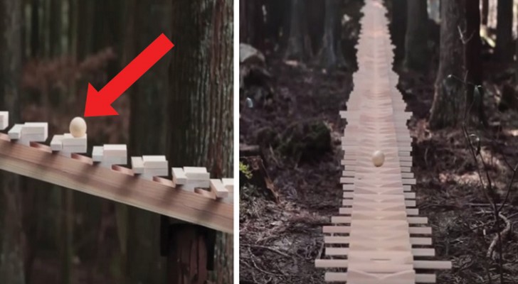En gigantisk xylofon i skogen: den skapar en ljuvlig musik