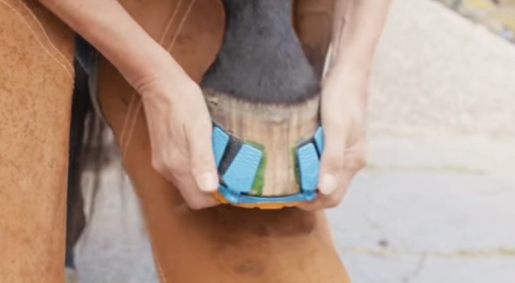 Addio agli zoccoli ferrati: queste calzature in gomma faranno felici tutti i cavalli