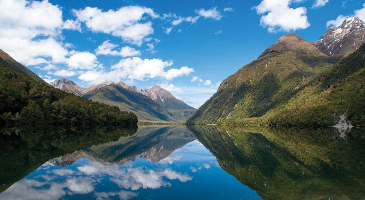 Soggiorno e volo gratis per andare a fare un colloquio in Nuova Zelanda: cosa aspetti a candidarti?