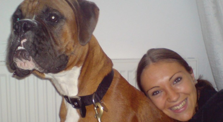Una coppia inglese è riuscita a far clonare il proprio cane 12 giorni dopo la sua morte
