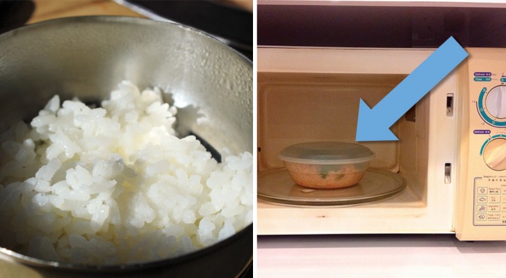 Scaldi il riso nel forno a microonde? Per i medici il rischio di intossicazione è altissimo