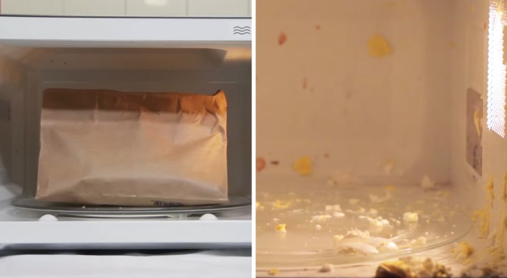 12 cose che non vanno mai e poi mai messe a scaldare nel forno a microonde
