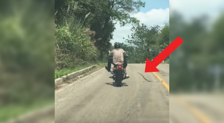 Han kör förbi på sin motorcykel men en orm kommer att skrämma honom