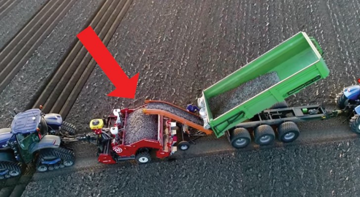 Voici comment sont plantées les pommes de terre... avec les machines de dernière génération