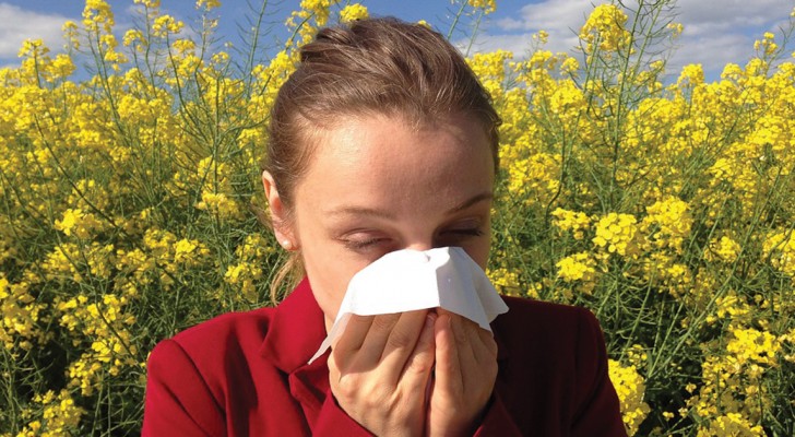 Allergia al polline? Ecco 10 miti da sfatare su questa malattia primaverile