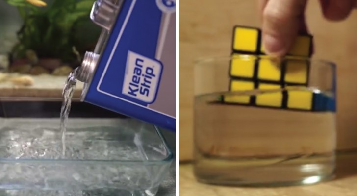 Hij dompelt een Rubiks kubus onder in aceton: dit is waar dit algemene oplosmiddel toe in staat is!