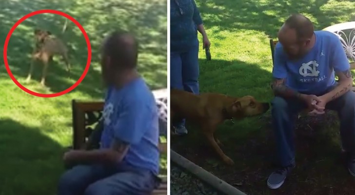 A man is unrecognizable except for his smell -- and his dog remembers him!